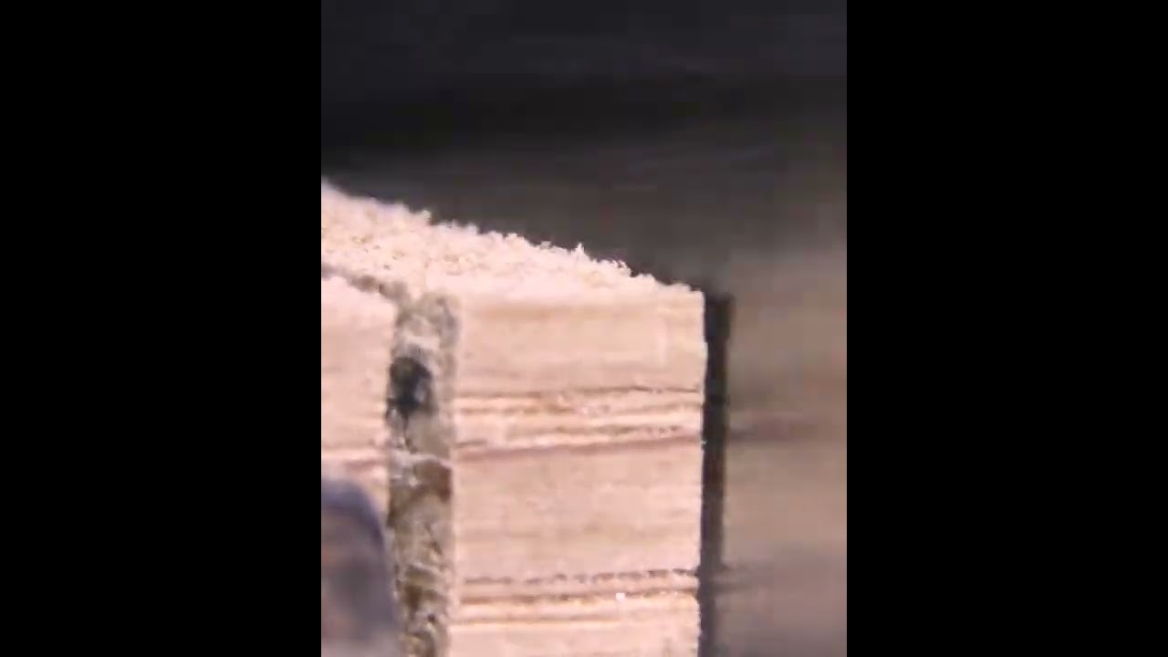 object_videos