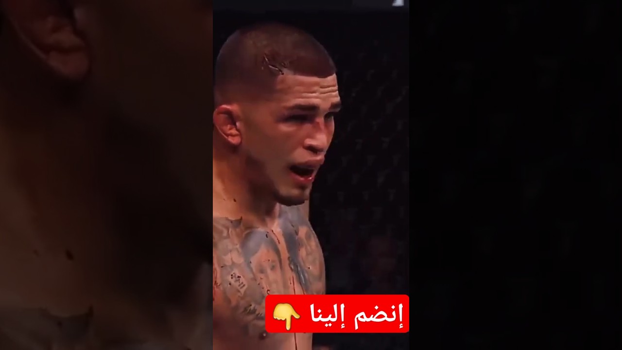 UFC & Music Collaboration: Dragov A9RASS 🎶