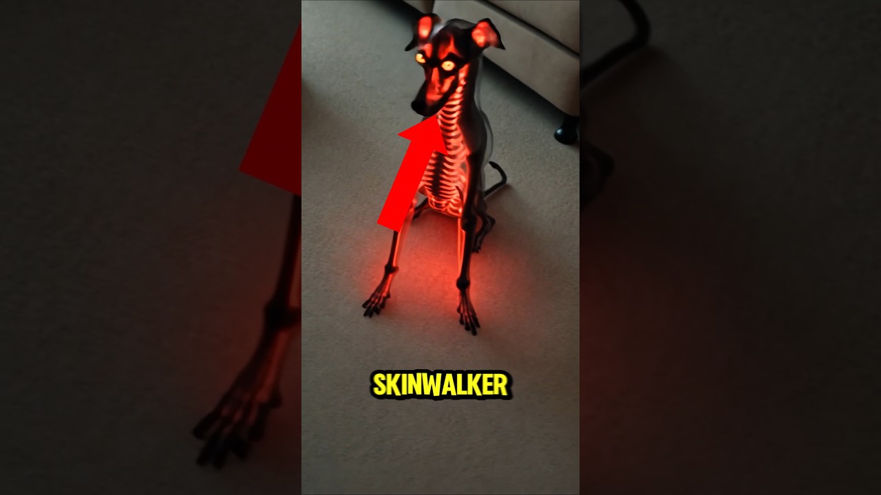 Top 3 Skinwalkers Caught on Camera as Animals 🐾