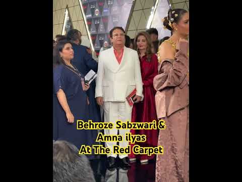 Behroze Sabzwari | Amna ilyas | Hum Style Awards 2024