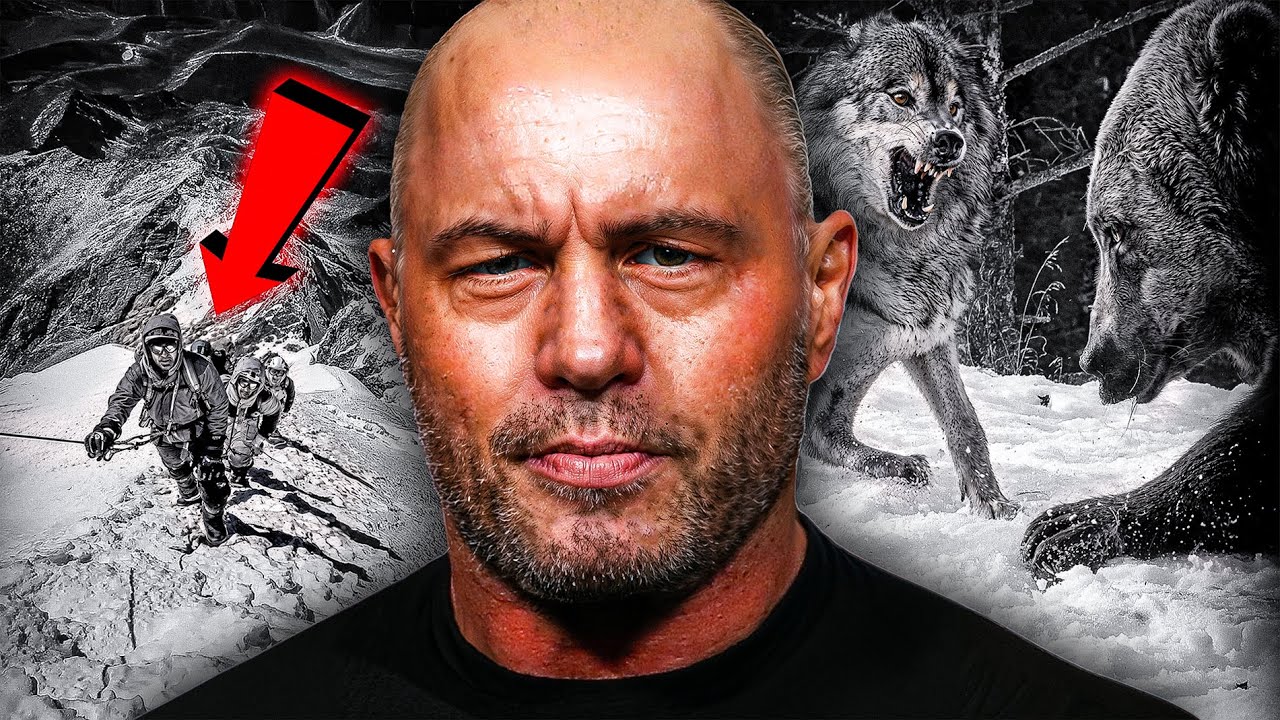 10 Top 10 Unbelievable Survival Stories on Joe Rogan 🎙️
