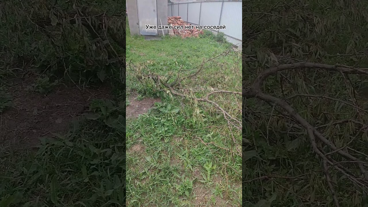 Как решать конфликты с соседями 🌱