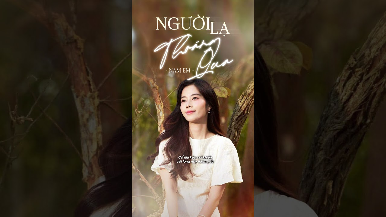 Nam Em - Người Lạ Thoáng Qua | Lyric Video