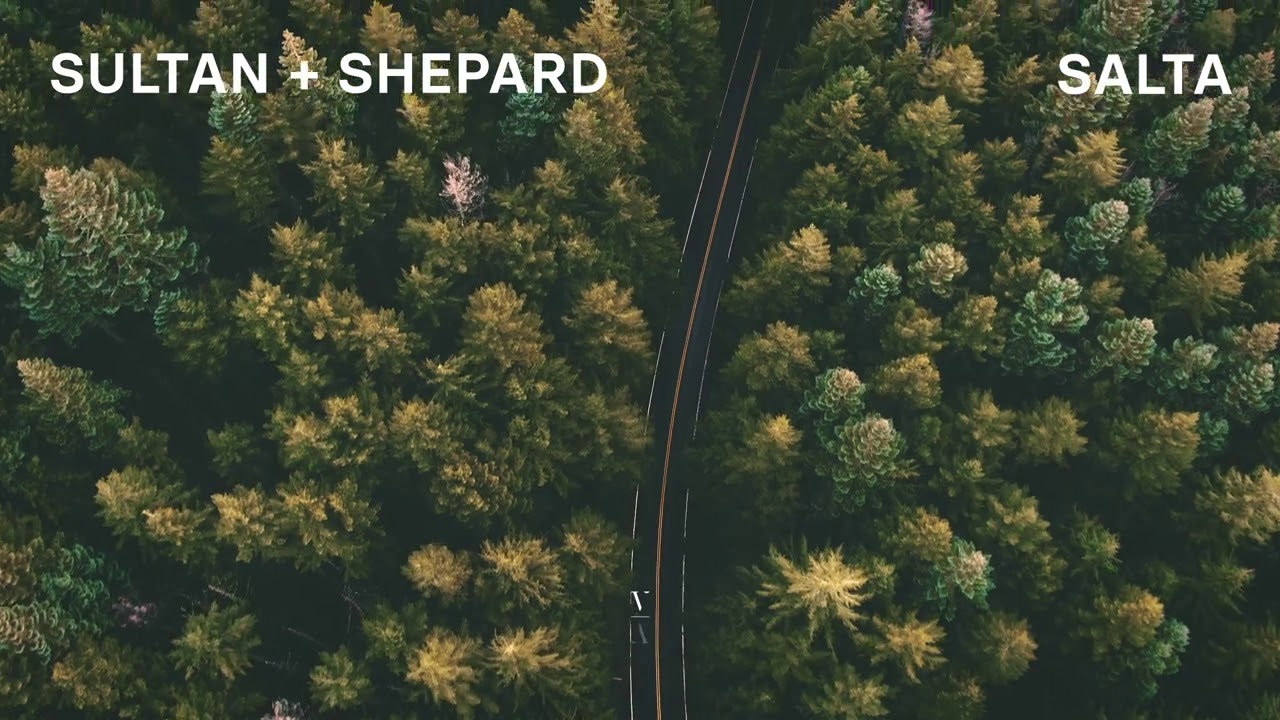 Sultan + Shepard Release New Album 'Forever, Now'