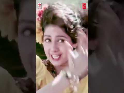 #jumbaye #kshanakshanam #venkatesh #sridevi #mmkeeravani #mano #ramgopalvarma #shorts #laharimusic