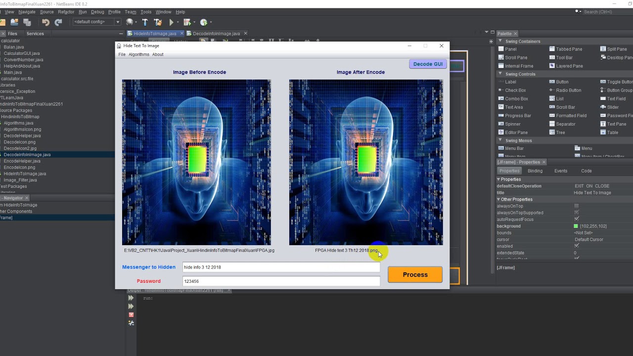 Learn How to Hide and Reveal Text in Images with Java Swing 🖼️