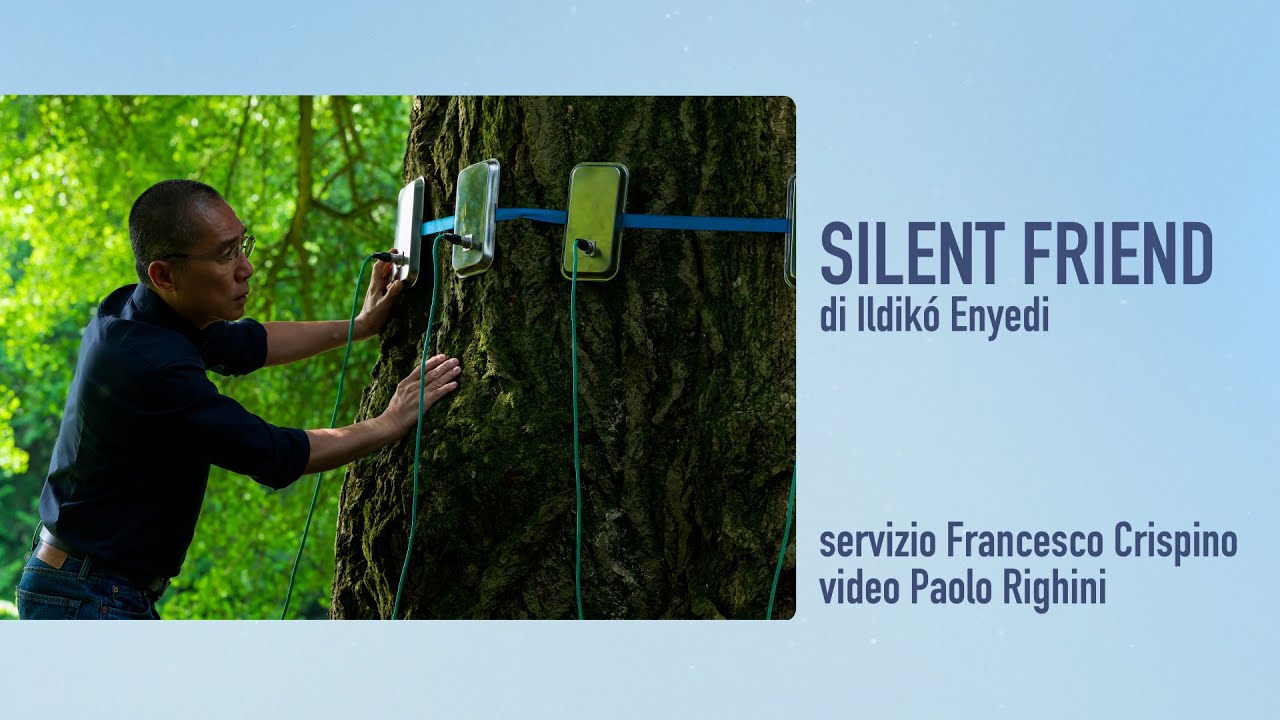 Silent Friend di Ildikó Enyedi a Venezia 82 🎬