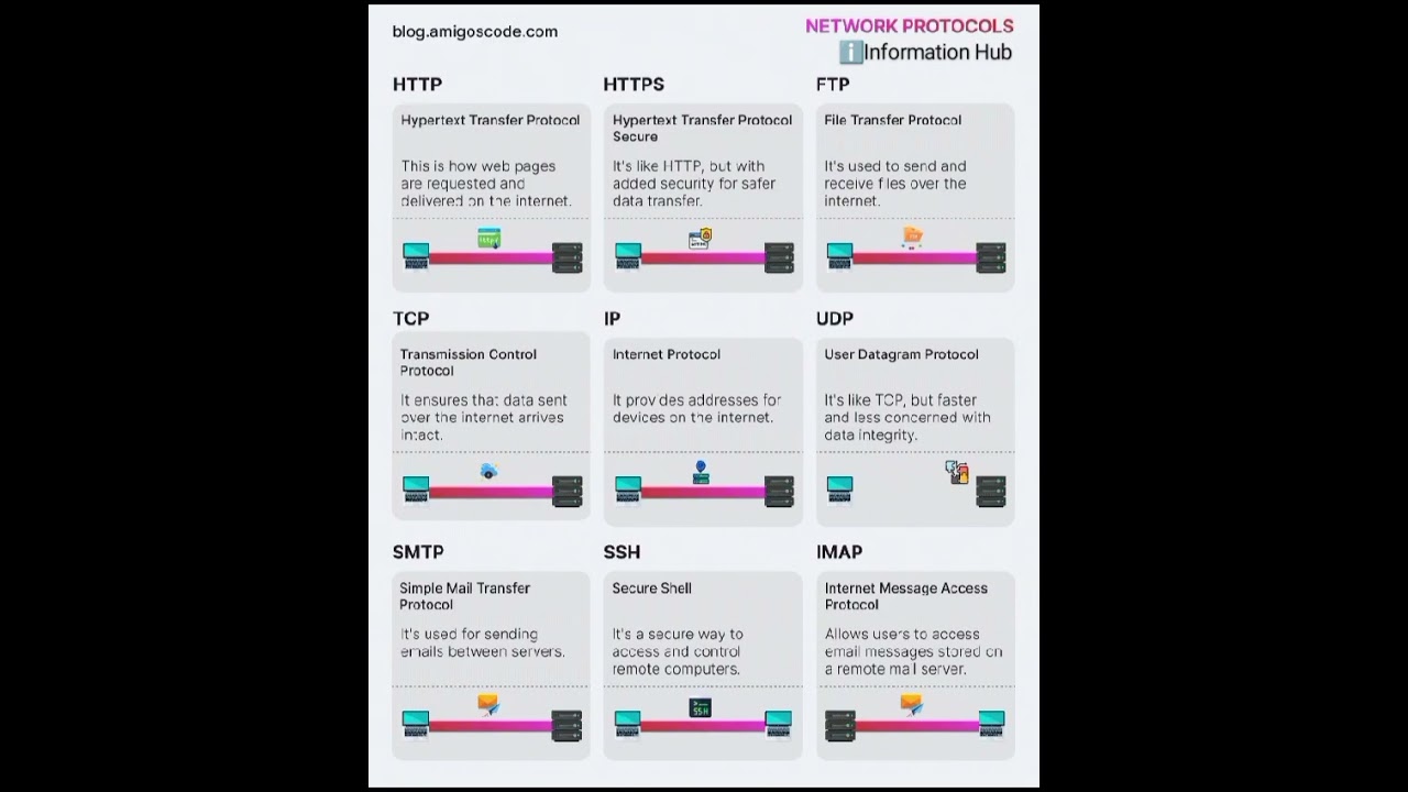Master the Essential Network Protocols: Your Complete Guide to Networking Success 🌐