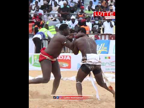 Bari bari vs Alioune Seye jr kou dane? #shorts abonnez-vous