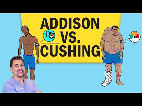 Addison's vs Cushing's Disease: Key Differences & NCLEX Tips