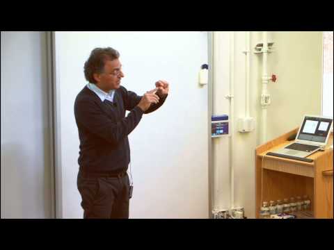 Introduction to Quantum Hamiltonian Complexity