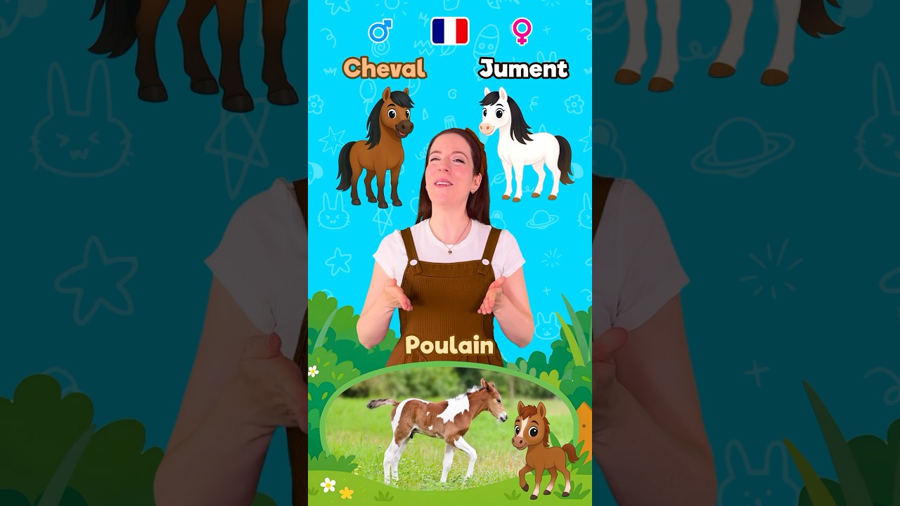 Les Animaux en Famille 2 🇫🇷