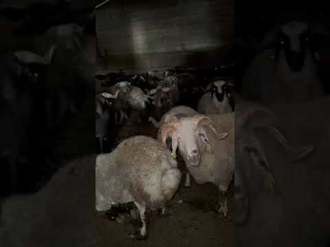 Bak kapıda yazıyor 10 Numara :)