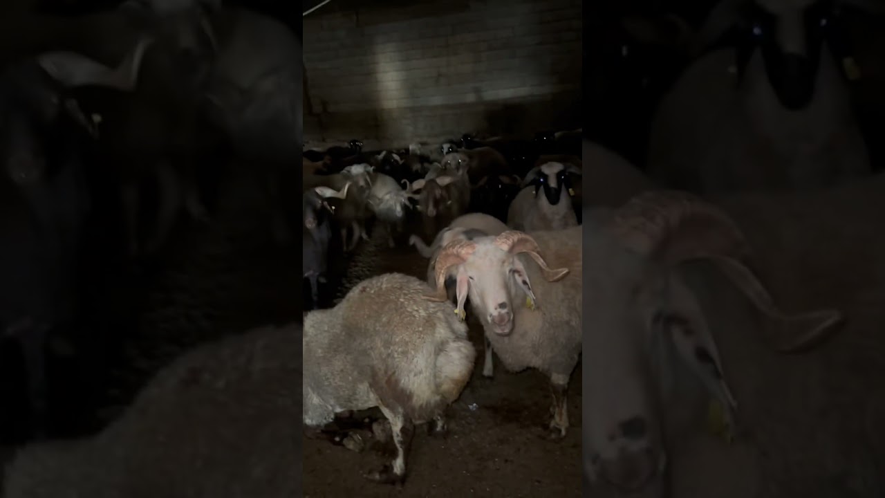 Bak Kapıda! 10 Numara :)