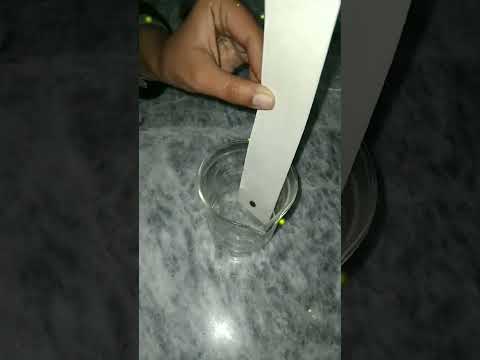 Paper chromatography