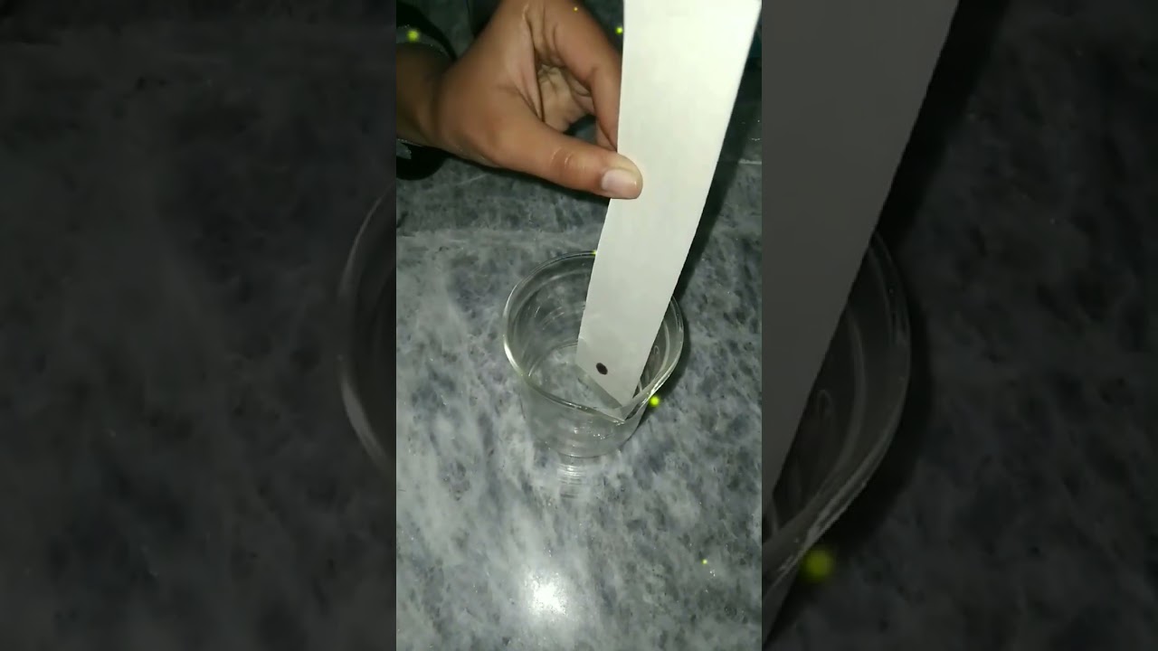 Paper Chromatography: Separating Ink Colors