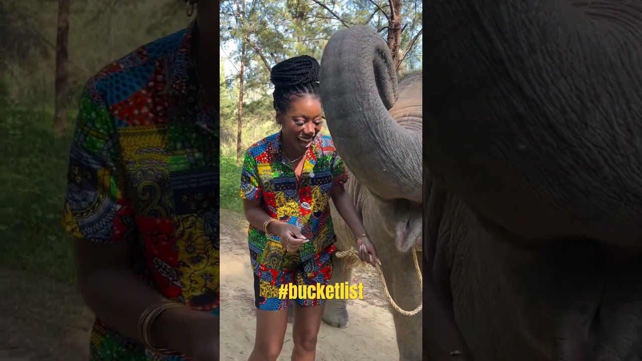 Elephant Safari Adventure in Thailand π