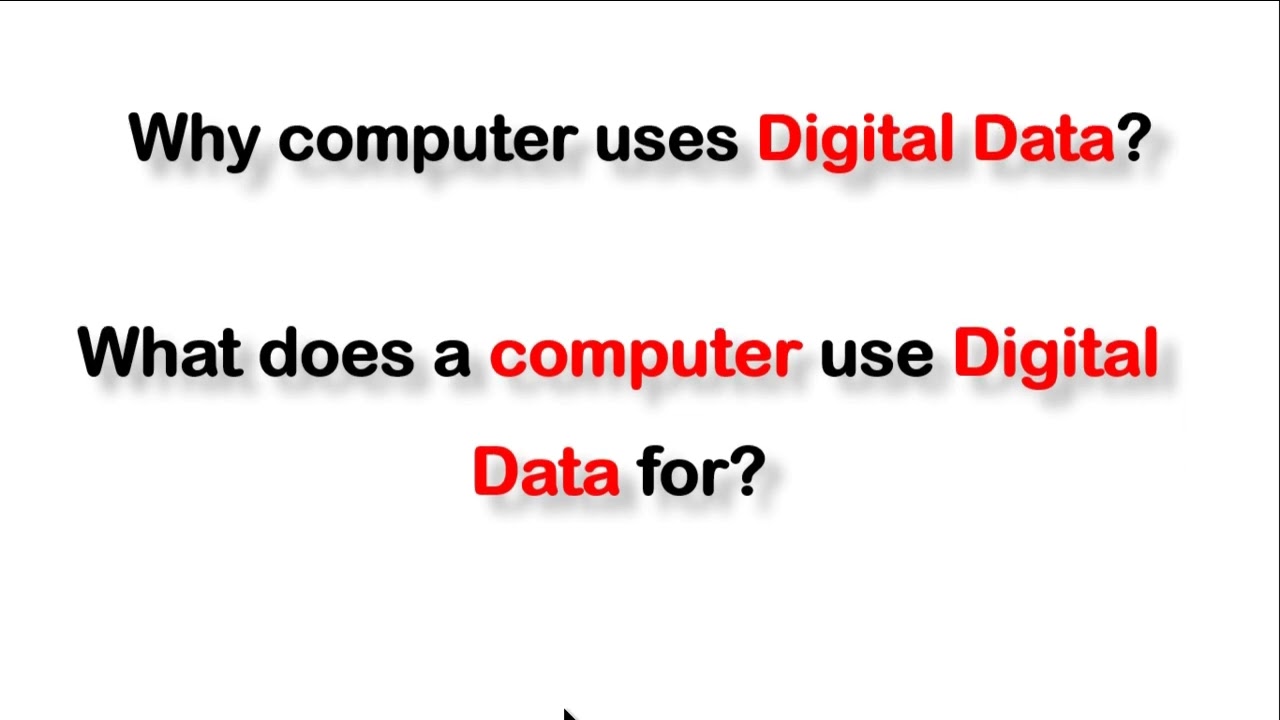 Macmillan Grade 7: Digital Data Lesson 1 📊