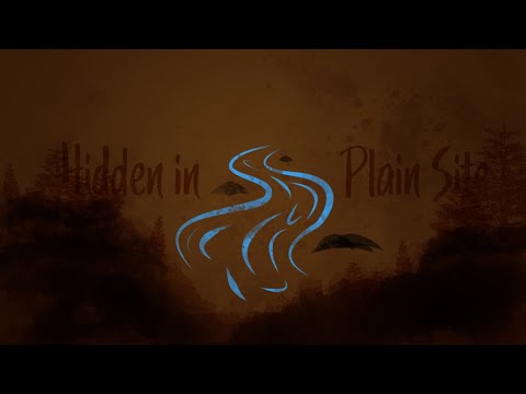 CTF Solution: Hidden in Plain Site