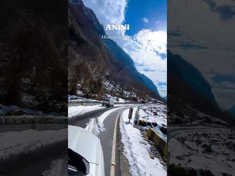 Paradise 🤍🦋ANINI - Arunachal Pradesh ✨ #shorts #explore #northeast #anini #arunachalpradesh