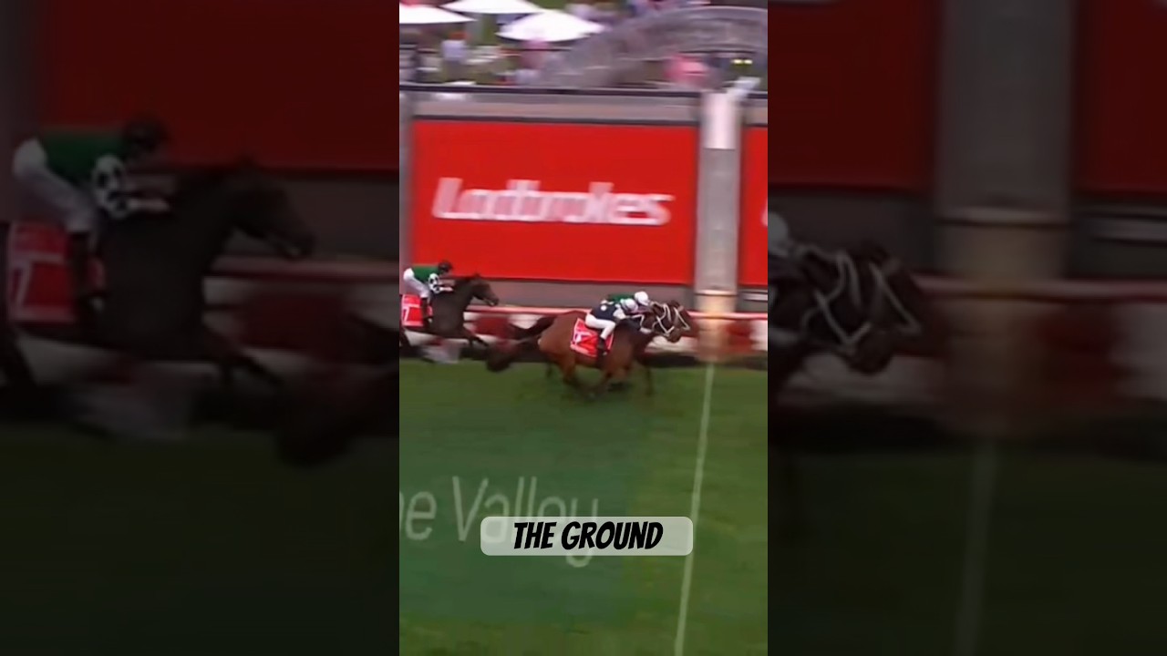 VIA SISTINA Wins Again at 2025 Cox Plate 🏆