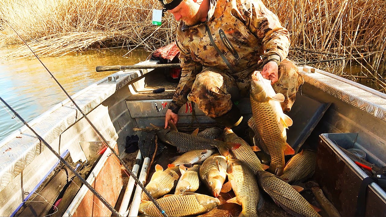 Улов сазана: полная лодка и рыбалка мечты 🎣
