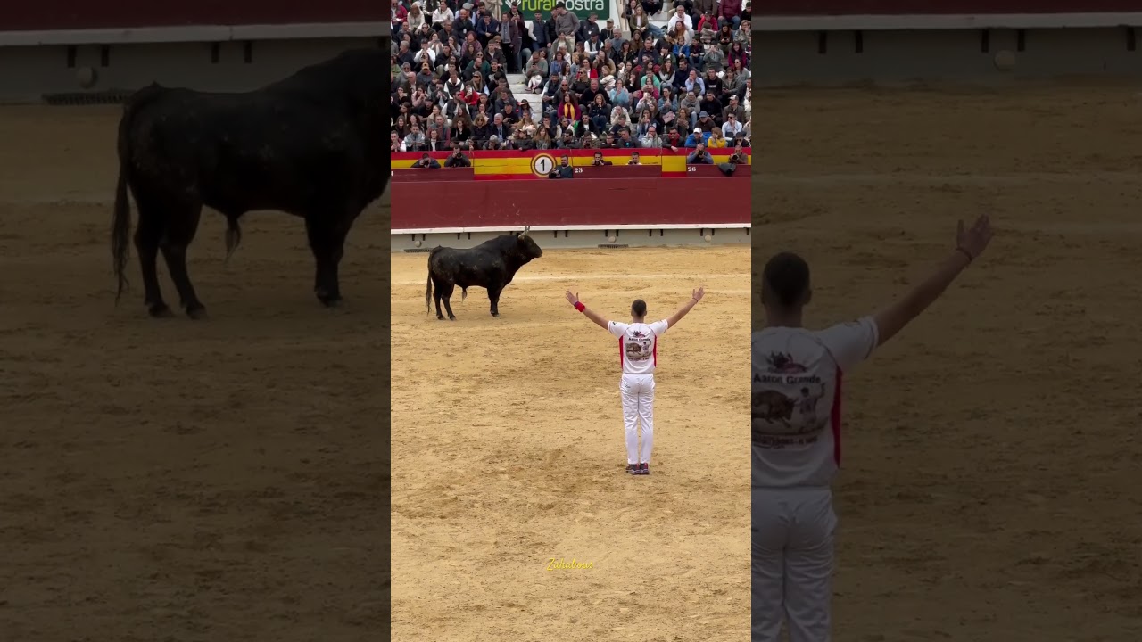 Aron Grande sorprende en Recortes Castellón 2024 🐂