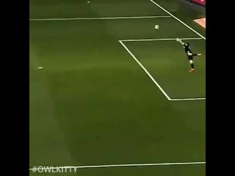 kucing yang mencetak goal di liga piala dunia