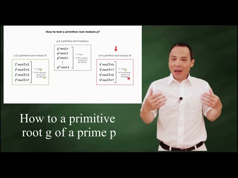 How to test if g is a primitive root of a prime number p?
