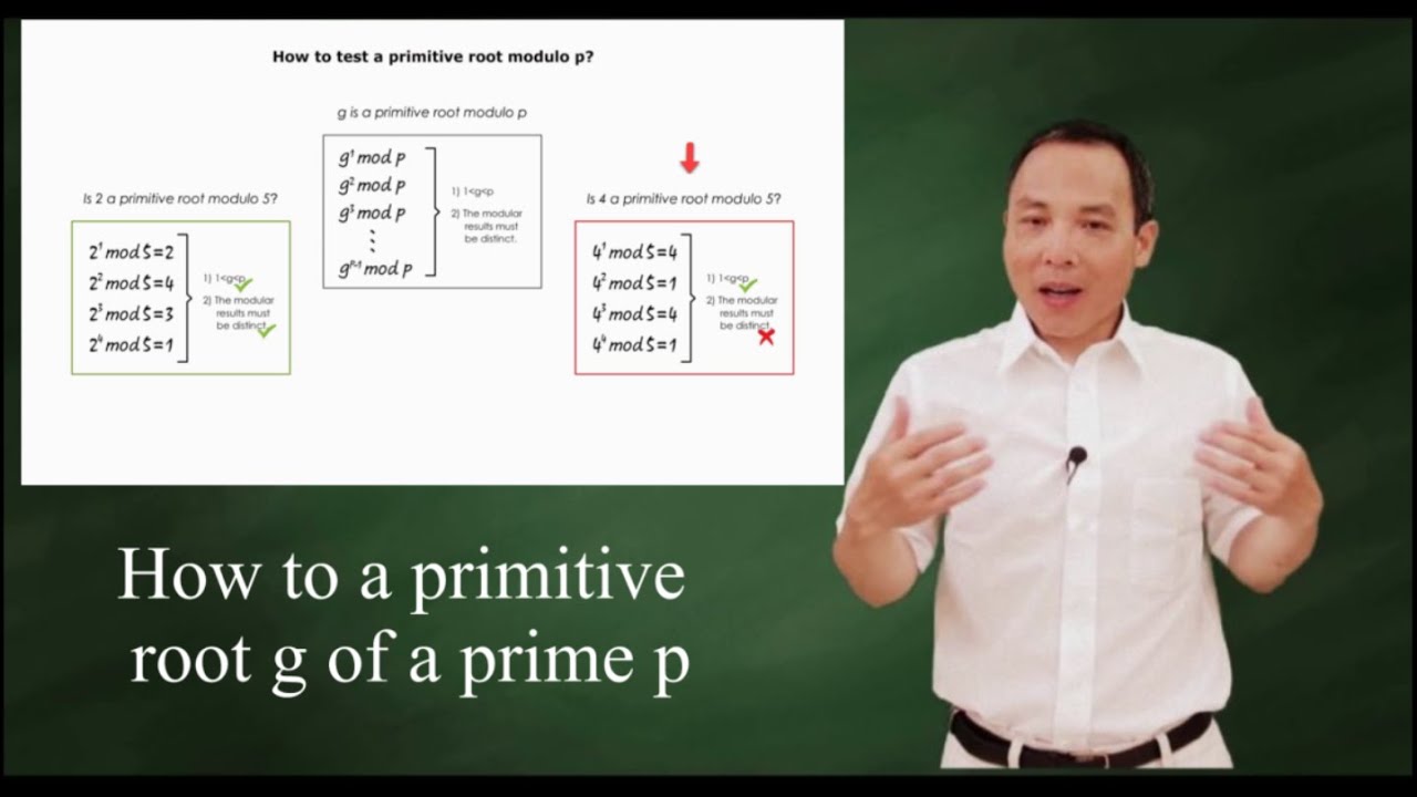 Testing if g is a Primitive Root of Prime p