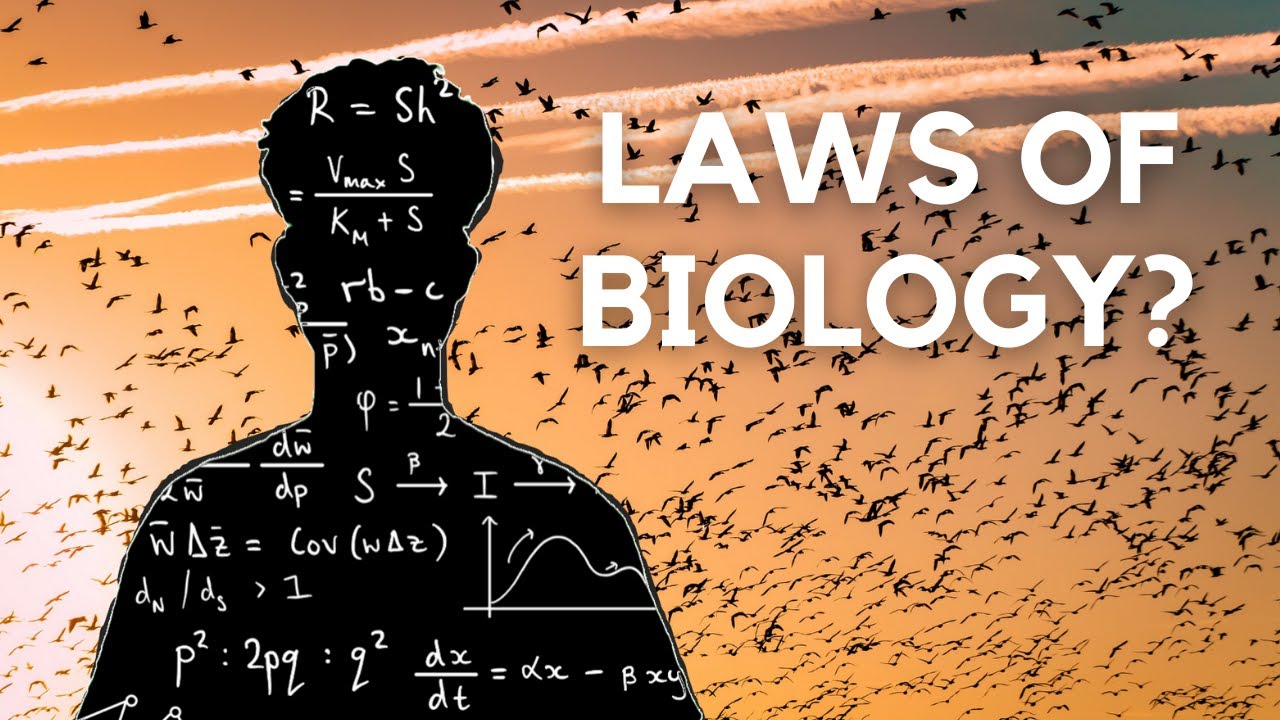 Is Life Truly Mathematical? Exploring the Connection Between Biology and Math 🔢