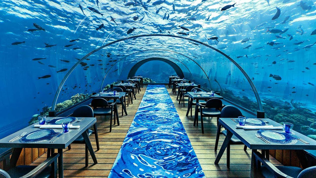 World's Most Expensive Restaurants 💎
