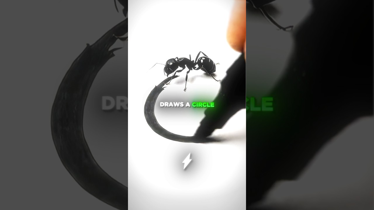 The Surprising Reason the Viral Trapped Ant Video Captivates 🤯