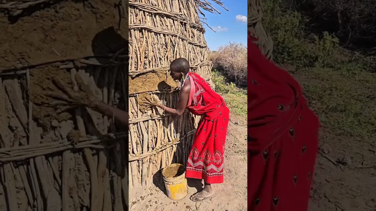 Tribals' Eco-Friendly Homes Without Cutting Trees 🌿