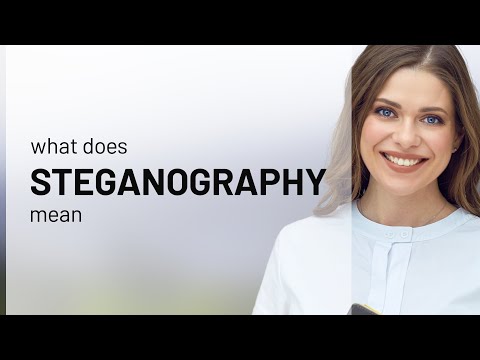 Steganography • meaning of STEGANOGRAPHY
