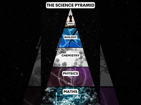 The Science Pyramid ⚛️ Which is Your Favorite Subject?