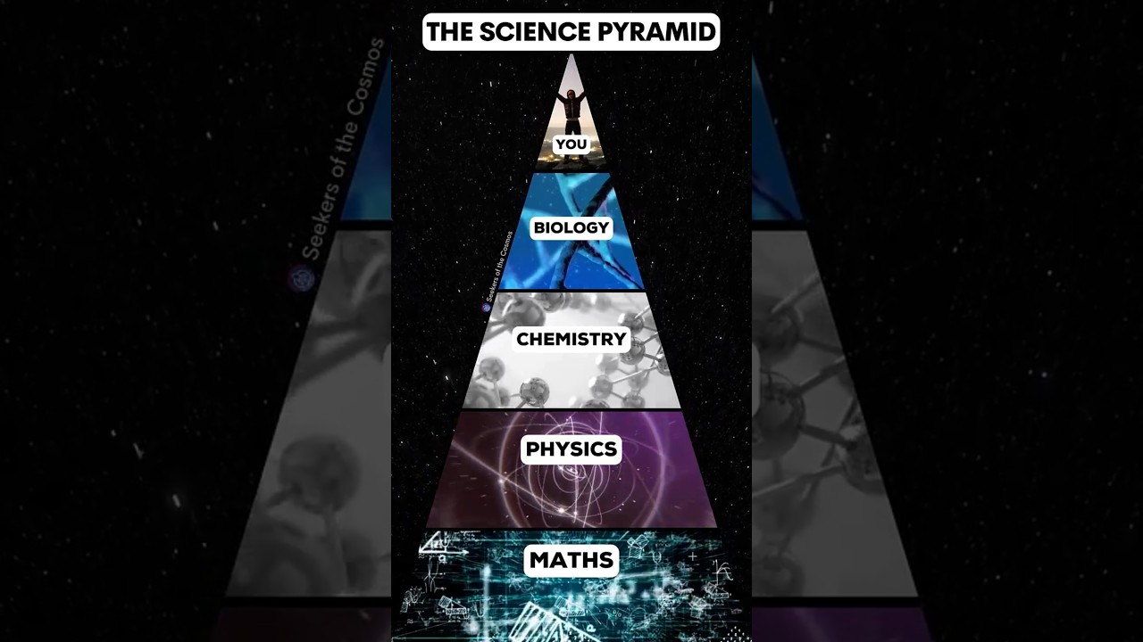 Discover the Science Pyramid: Which Subject Sparks Your Curiosity? 🔬