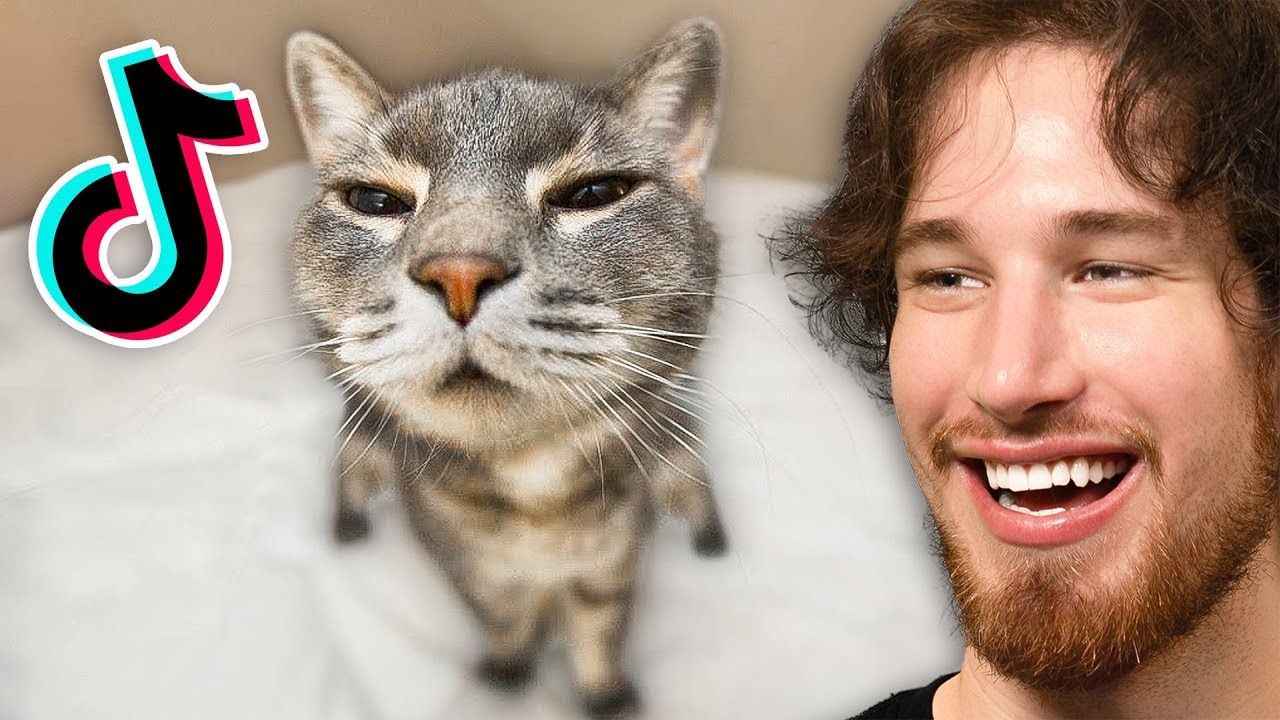 Top Videos of 2022 🎥