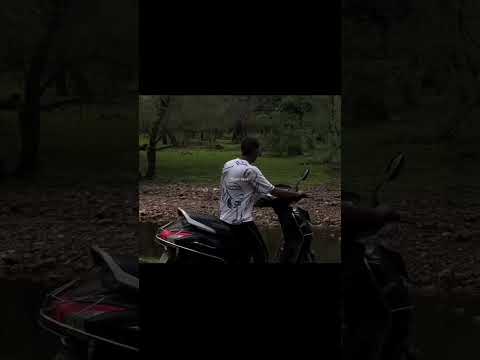 Lost here... #cinematicvibes #love #hindisong #travel