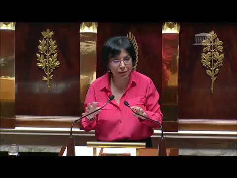 Débat sur l'Organisation de l'État avec Pires-Beaune
