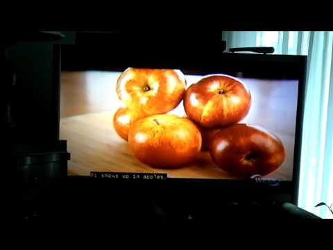 THE GREAT MATH MYSTERY -- INCREDIBLE -- SWEET MEGAN TRINOR - IT MAY NOT NOT BE ALL ABOUT THE BEAT!!