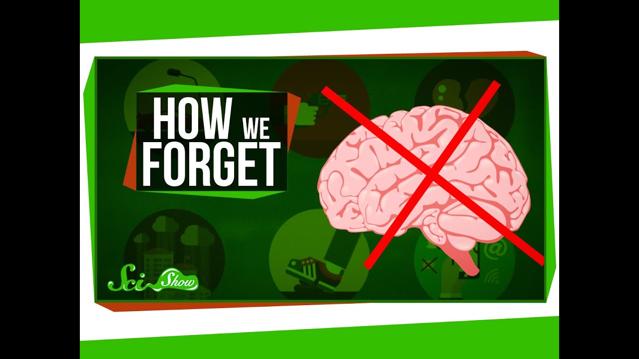 How to Forget Things on Purpose 🧠