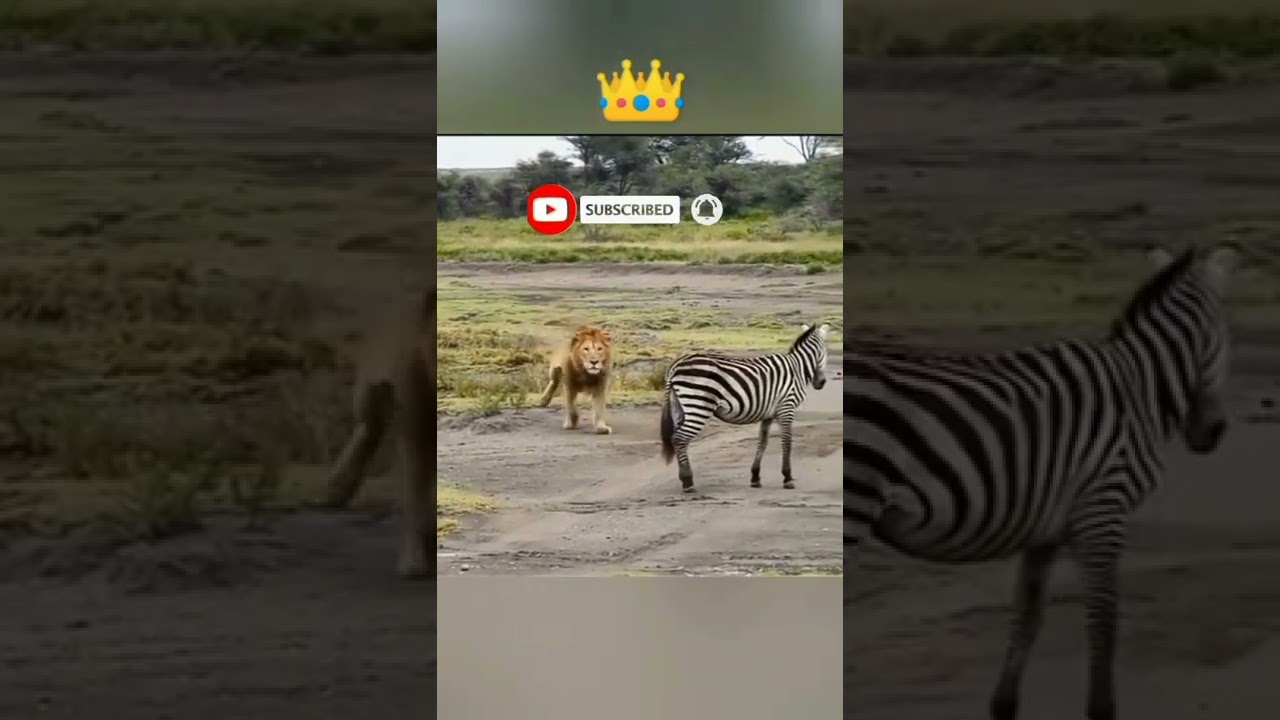 Discovery: Unlocking New Frontiers