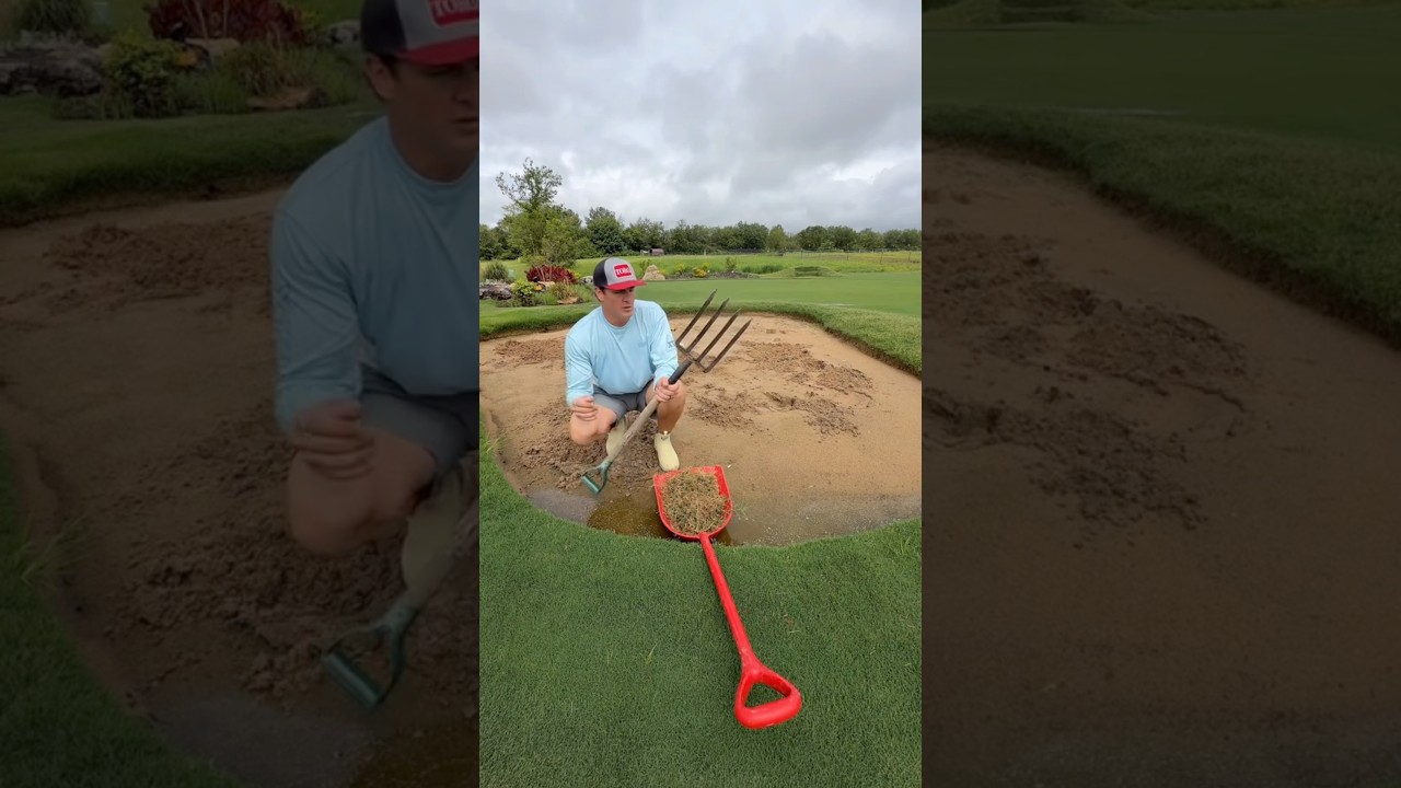 Get Unlimited FREE Grass Today! 🌱