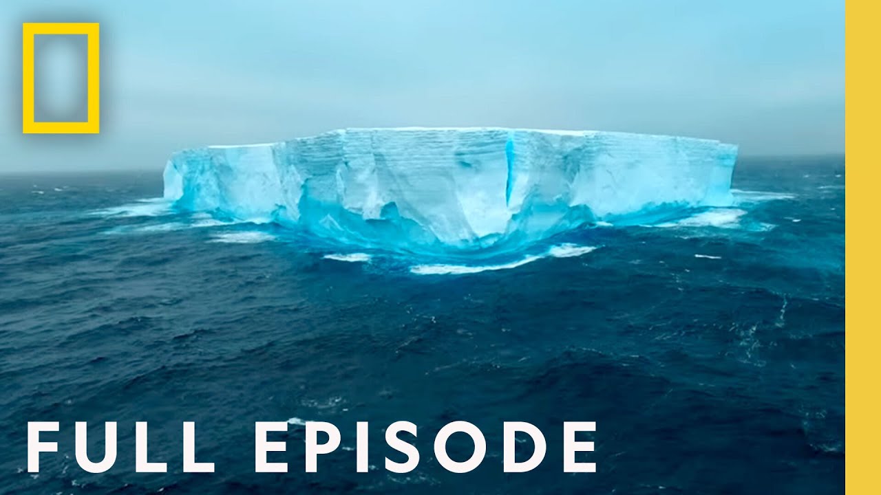 Antarctica's Amazing Animal Journeys 🐧 | End of the Earth Adventure