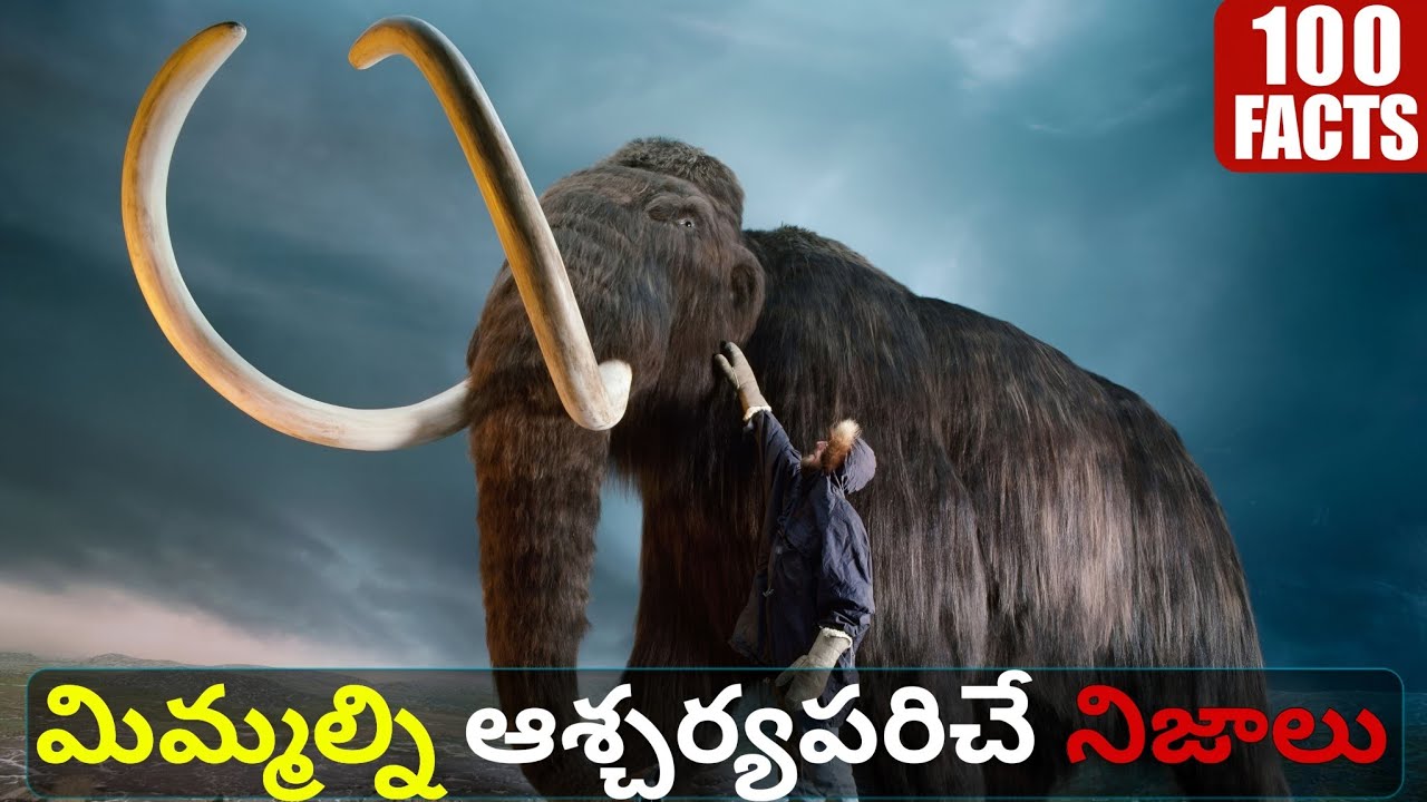 100 Fascinating Telugu Facts 📚