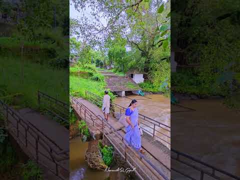 ഗ്രാമം 😍💚 #shorts #kerala #monsoon #nostalgia #villagelife