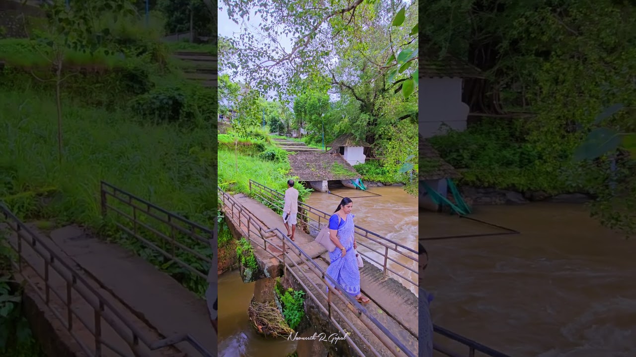 Serene Village Life and Monsoon Beauty in Kerala ๐๐ #shorts #villagelife