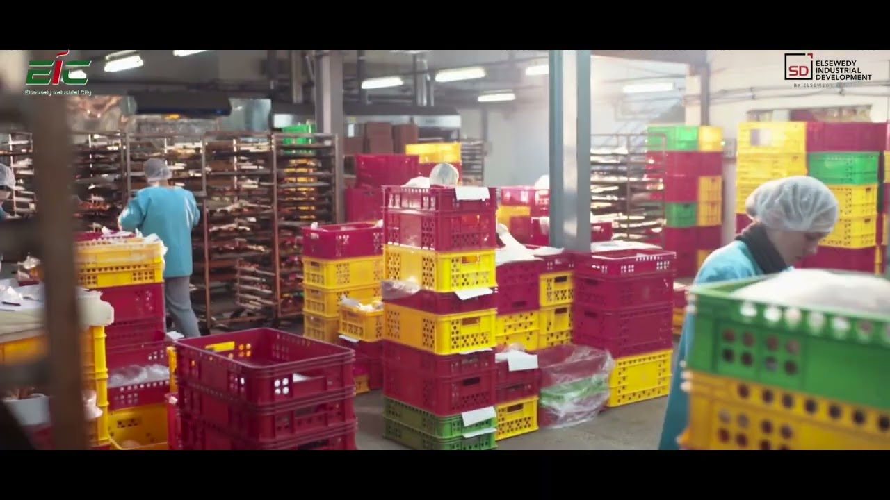 Discover Elsewedy Industrial City in Tanzania: A Hub for Diverse Industries 🚀