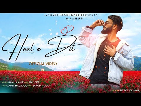 Haal E Dil Mashup | Maahi Aamir | Adil dks New Trending Song